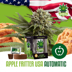 Apple Fritter USA Auto iGrowCan