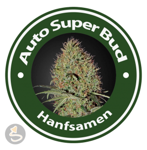 Auto Super Bud