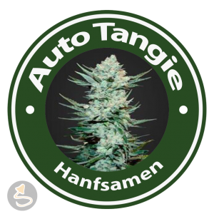 Auto Tangie