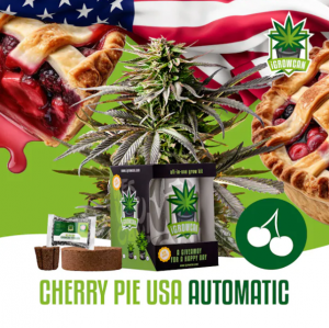 Cherry Pie USA iGrowCan