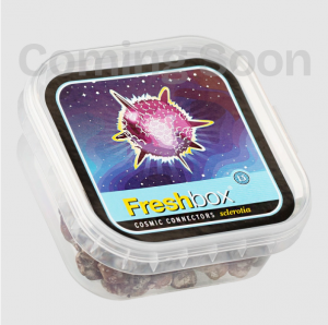 Cosmic Connectors - Freshbox Trüffel 15g