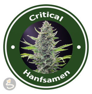 Critical Autoflowering