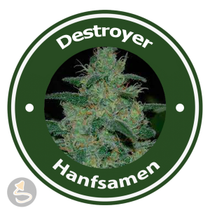 Destroyer Autoflowering