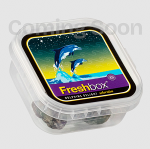 Dolphins Delight - Freshbox Trüffel 15g