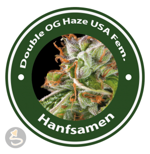 Double OG Haze Feminisiert (USA Strains)