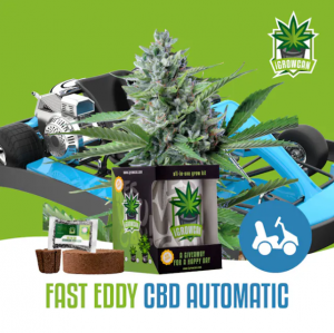 Fast Eddy CBD Automatic iGrowCan