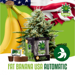 Fat Banana USA Auto iGrowCan