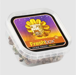 Golden Teacher - Freshbox Trüffel 15g