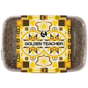 Golden Teacher Somagarden Growkit