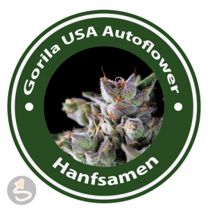 Gorila Autoflowering (USA Strains)