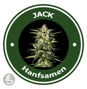 Jack Autoflowering