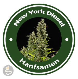 New York Diesel Autoflowering