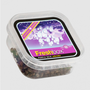 Purple Rain - Freshbox Trüffel 15g