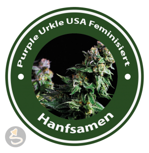 Purple Urkle Feminisiert (USA Strains)