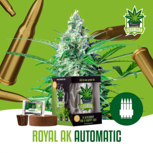 Royal AK Auto iGrowCan