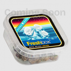 Royal Beluga - Freshbox Trüffel 15g