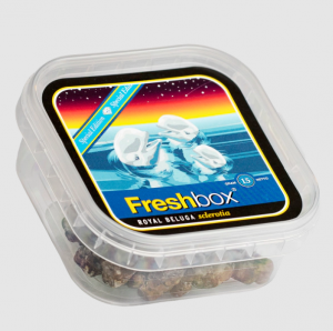 Royal Beluga - Freshbox Trüffel 15g