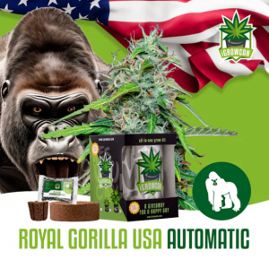 Royal Gorilla USA Auto iGrowCan