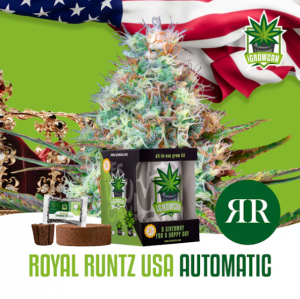 Royal Runtz USA Auto iGrowCan