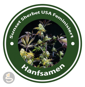 Sunset Sherbet Feminisiert (USA Strains)