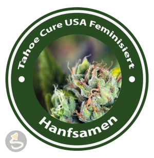 Tahoe Cure Feminisiert (USA Strains)