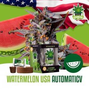 Watermelon USA Auto iGrowCan