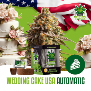 Wedding Cake USA Auto iGrowCan