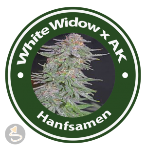 White Widow x AK Feminised Hybrid